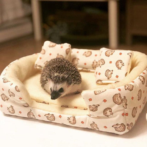 Best Hedgehog Cage Sanitation &amp; Bedding