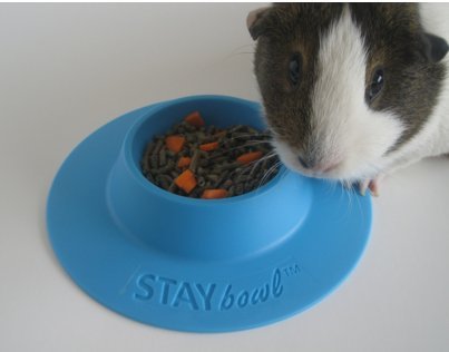 STAYbowl Tip-Proof Ergonomic Pet Bowl for Guinea Pig and Other Small Pets; 1/4-Cup Size; Sky Blue