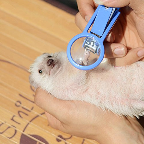 Frjjthchy Pet Hamster Hedgehog Nail Clipper Trimmer Small Animal Toenail Clippers with Magnifier (Random Color)