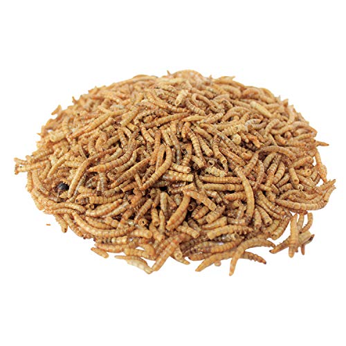 Downtown Pet Supply Dried Mealworms - Rich in Vitamin B12, B5, Protein, Fiber and Omega 3 Fatty Acids - Chicken, Duck and Bird Food - Reptile and Turtle Food - 1/2 lbs