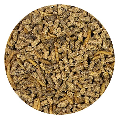 Hedgehog Complete 2 lb - Nutritionally Complete Natural Healthy High Protein Pellets & Dried Mealworms - Food for Pet Hedgehogs